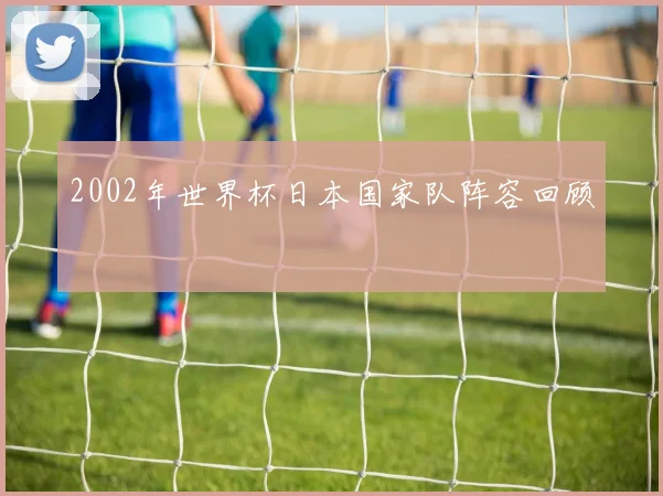 2002年世界杯日本国家队阵容回顾