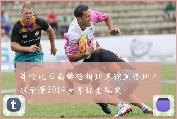 哥伦比亚前锋哈梅斯罗德里格斯六球荣膺2014世界杯金靴奖