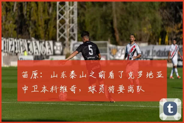 苗原：山东泰山之前看了克罗地亚中卫本科维奇，球员将要离队