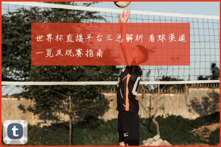 世界杯直播平台汇总解析 看球渠道一览及观赛指南