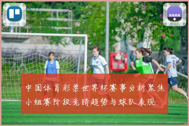 中国体育彩票世界杯赛事分析聚焦小组赛阶段竞猜趋势与球队表现