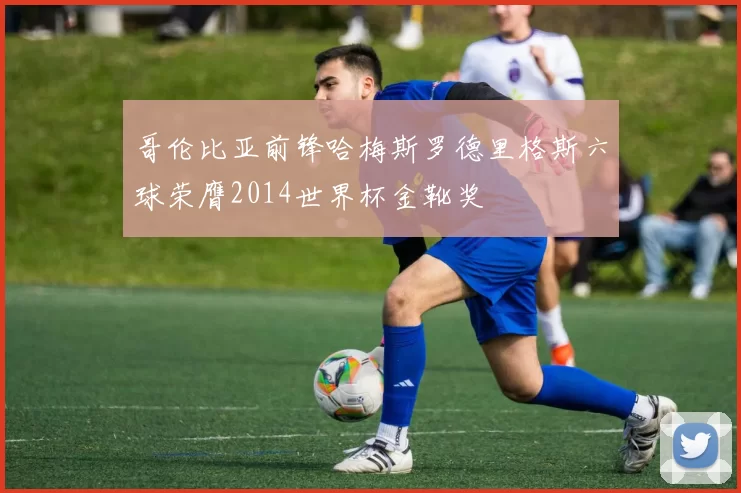 哥伦比亚前锋哈梅斯罗德里格斯六球荣膺2014世界杯金靴奖