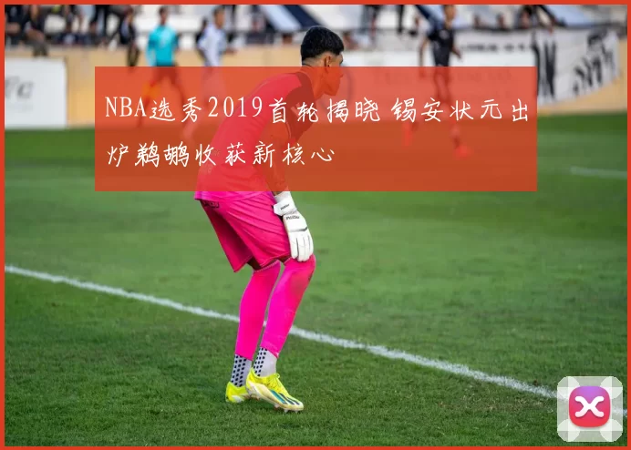 NBA选秀2019首轮揭晓 锡安状元出炉鹈鹕收获新核心